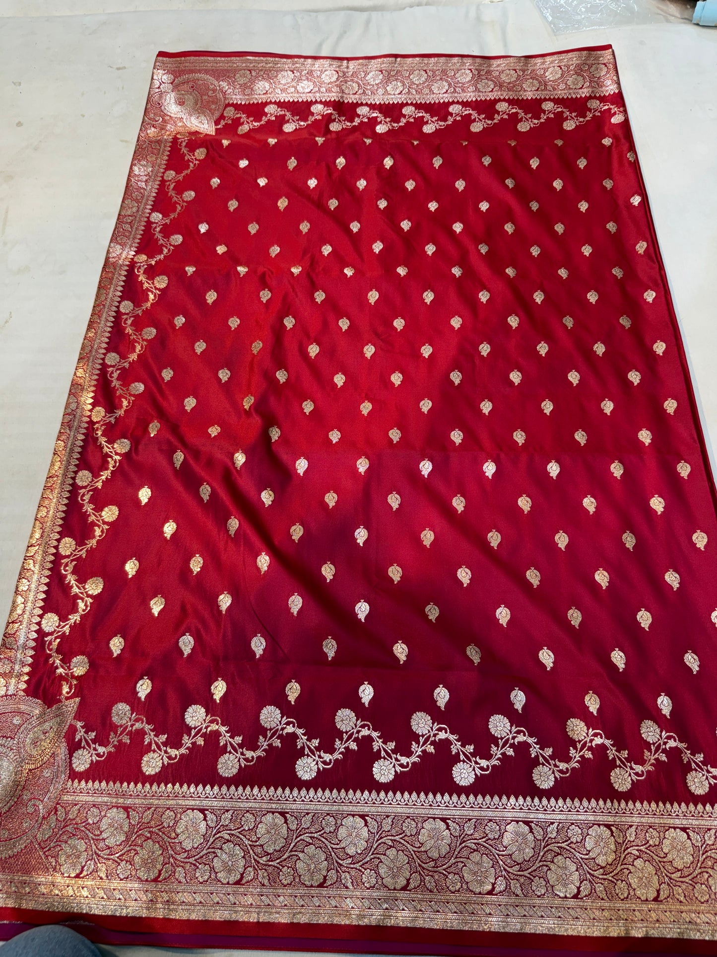 regal red katan silk saree with majestic gold zari paisley border